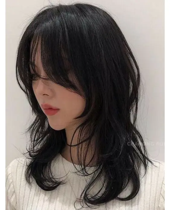 Wolf Cut With Black Hair