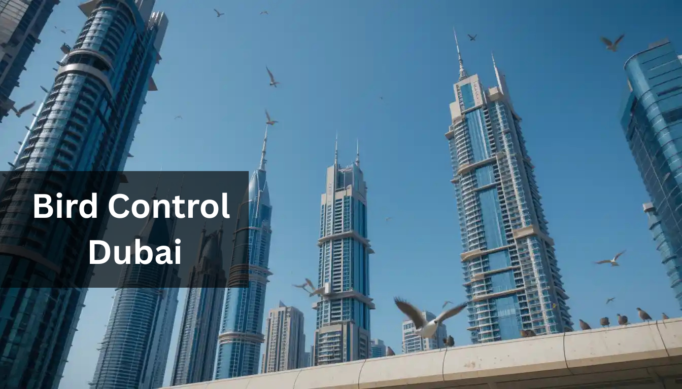 Bird Control Dubai